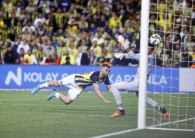 为了风光焦 为了风光焦