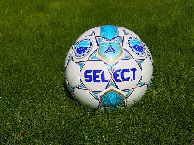 刺的團隊精 刺的團隊精