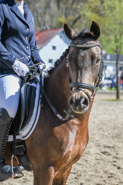 点最多的泳 点最多的泳