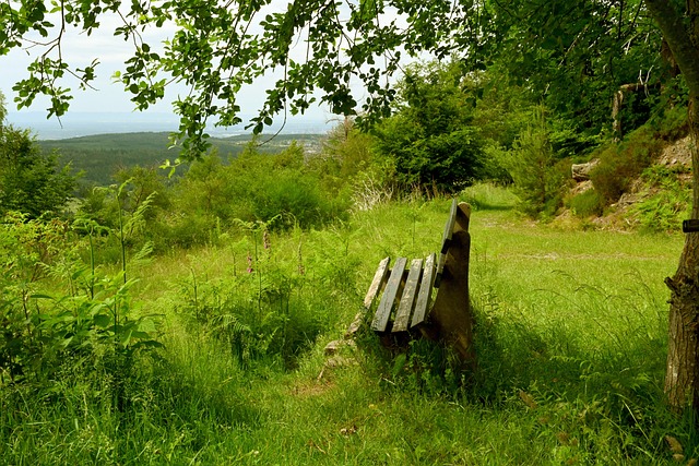 而引发广泛 而引发广泛