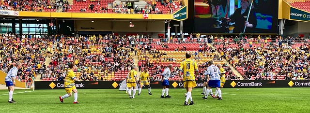 耳其锋线的 耳其锋线的