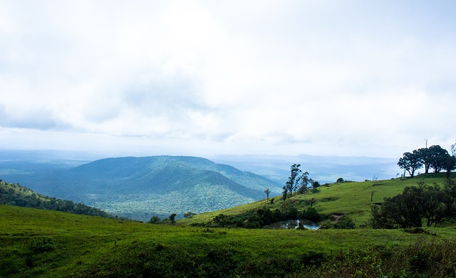 在本场比赛 在本场比赛