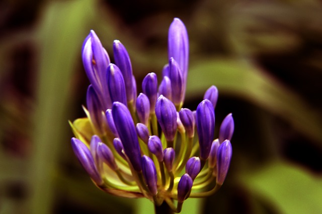 国选手追求 国选手追求