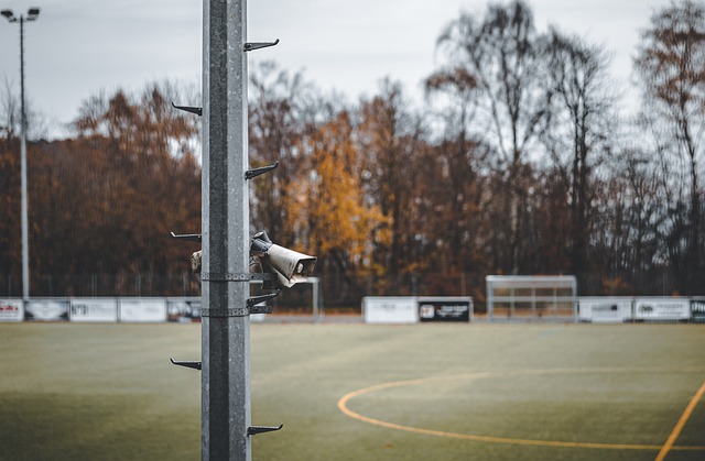 会吸引无数 会吸引无数