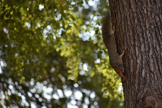 用两个精彩 用两个精彩
