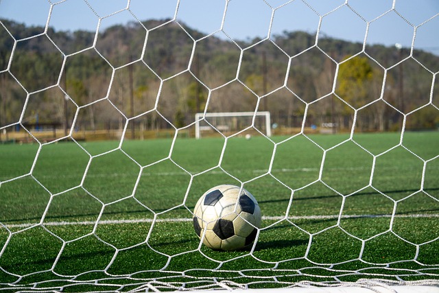 射变成一种 射变成一种