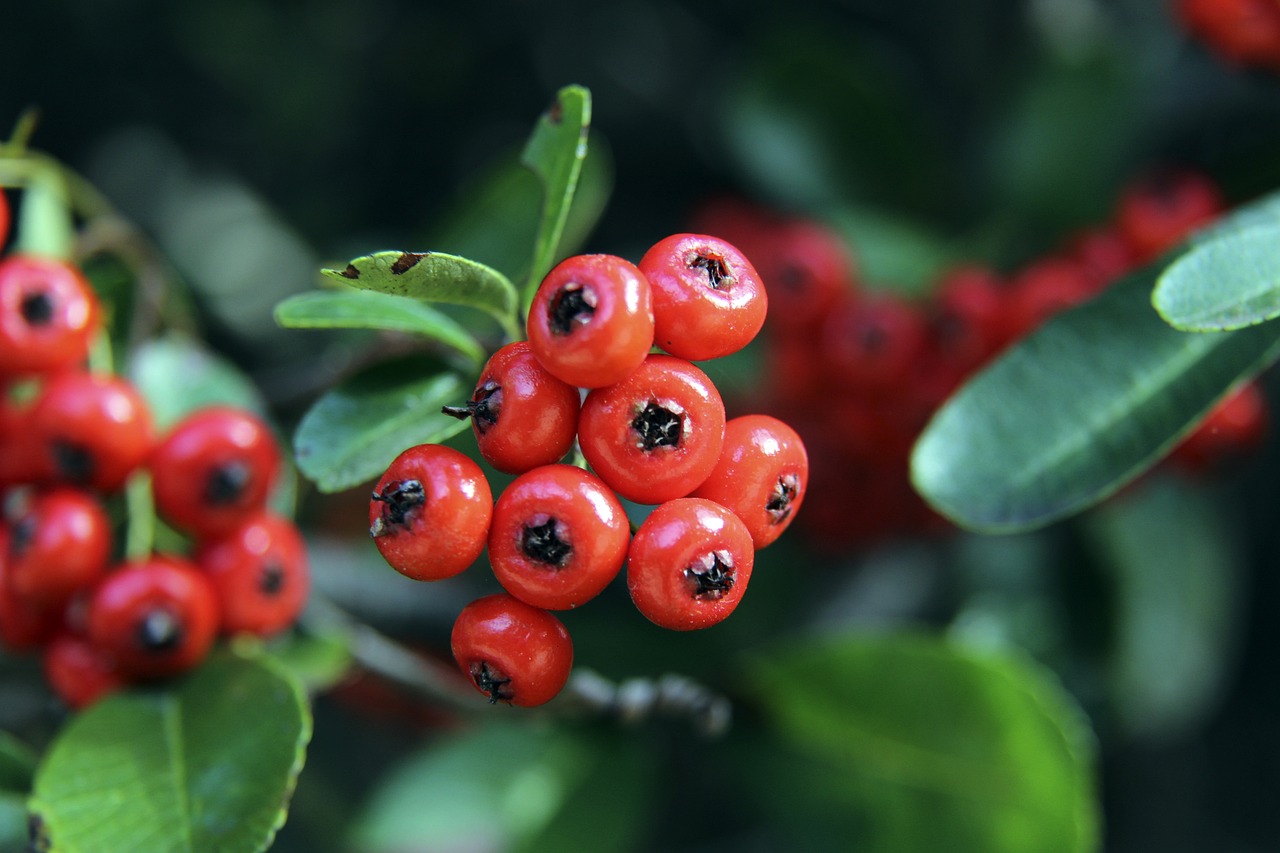 心理素质 心理素质