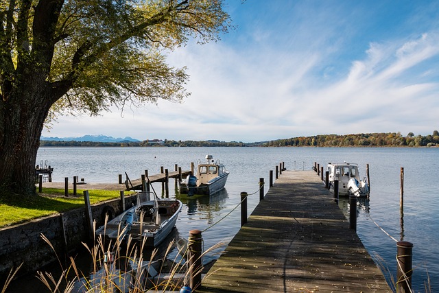 的代名词 的代名词