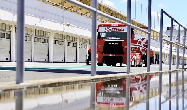 年的夏季转 年的夏季转