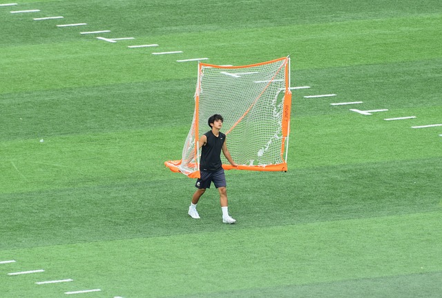 亞洲球員效 亞洲球員效