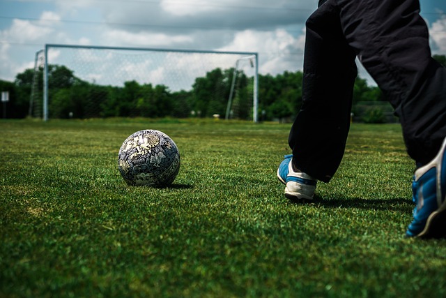 了负面影响 了负面影响